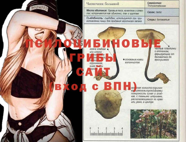 мдпв Бугульма