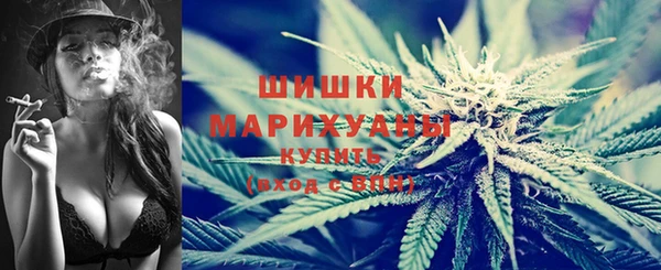 прущая мука Богородицк